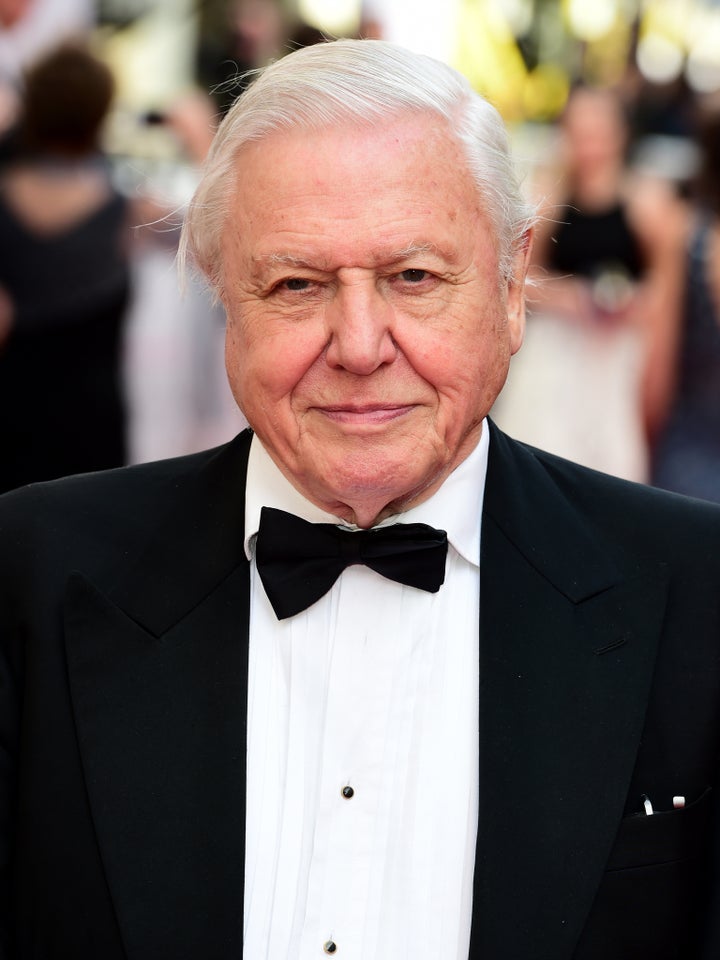 <strong>Sir David Attenborough </strong>