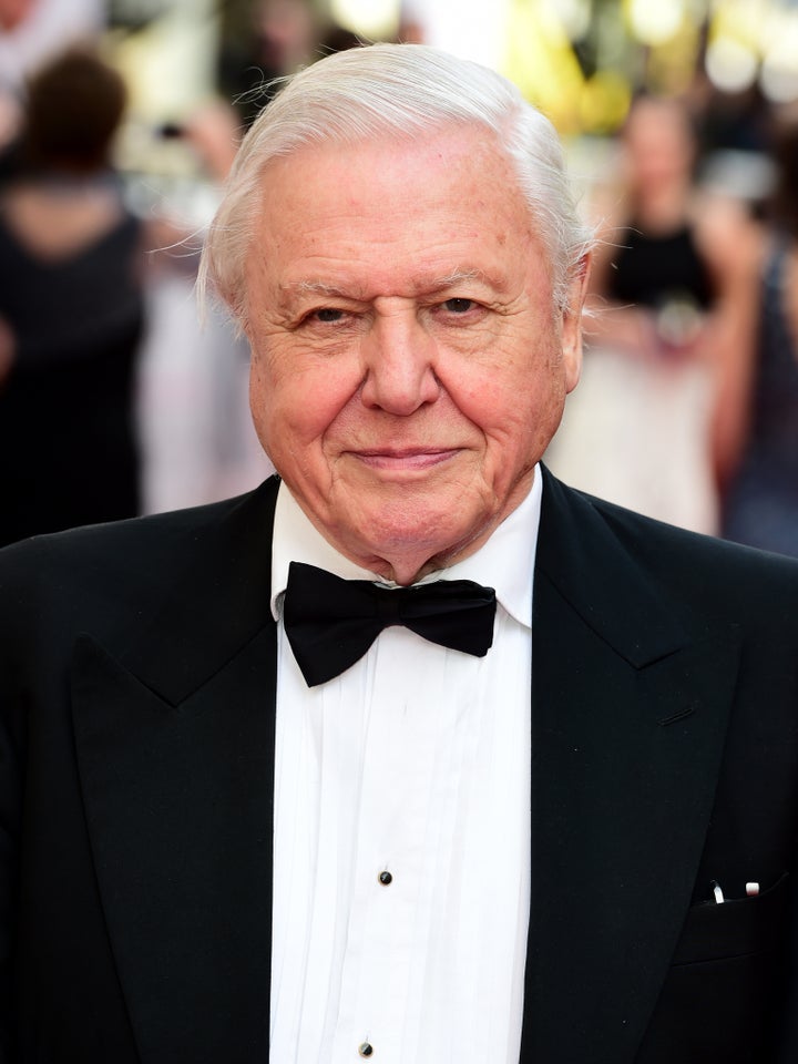 Sir David Attenborough 