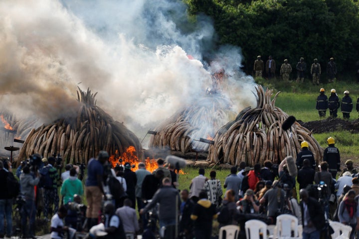 A general view shows part of 105 tonnes of elephant tusk ivory confiscated from smugglers and poachers burning at Nairobi National Park near Nairobi, Kenya, April 30,