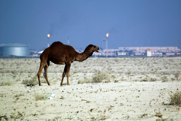 Islamic State attacks on southern Iraqi cities like Samawa, pictured above, are relatively rare.