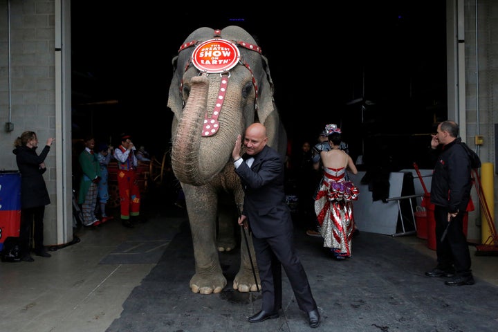 Circus performer Tabayara Maluenda pats an elephant after leading it in the introduction for its final show for the Ringling Bros and Barnum & Bailey Circus in Wilkes-Barre, Pennsylvania.