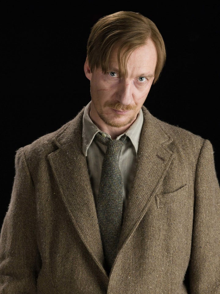 David Thewlis as Professor Lupin