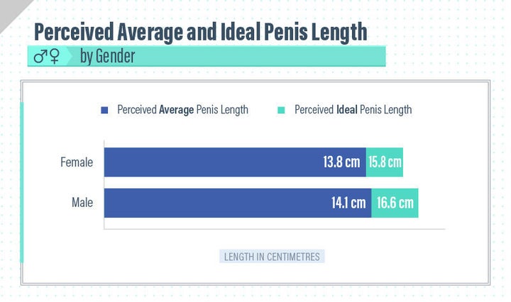 What is the average penis size in Canada and the world