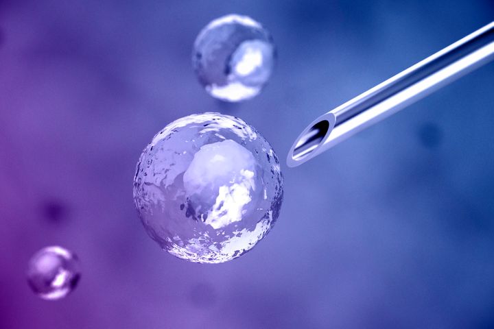 Stem cells are essentially a blank canvas, able to turn into any cell type.