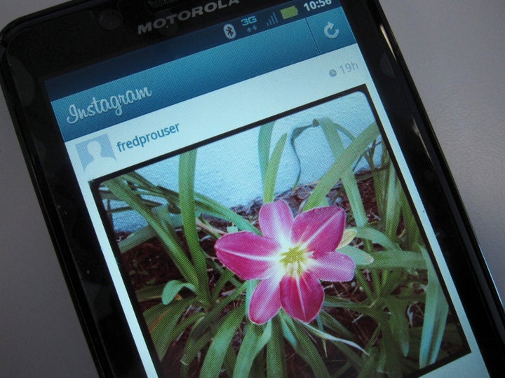 <strong>Jani, a 10 year old Finish boy proved his flaw to Instagram officials</strong>