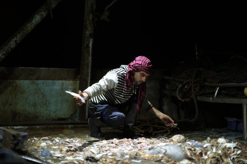 Mohamed Nowaije collects fish on the ship while out at sea.