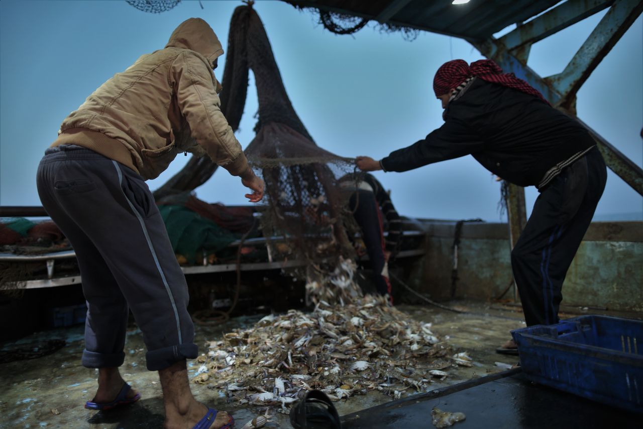 Palestinian fishermen opening their fishing net in the early morning on the deck of the ship. They returned to shore disappointed with the catch, as the new fishing zone did not live up to their hopes.