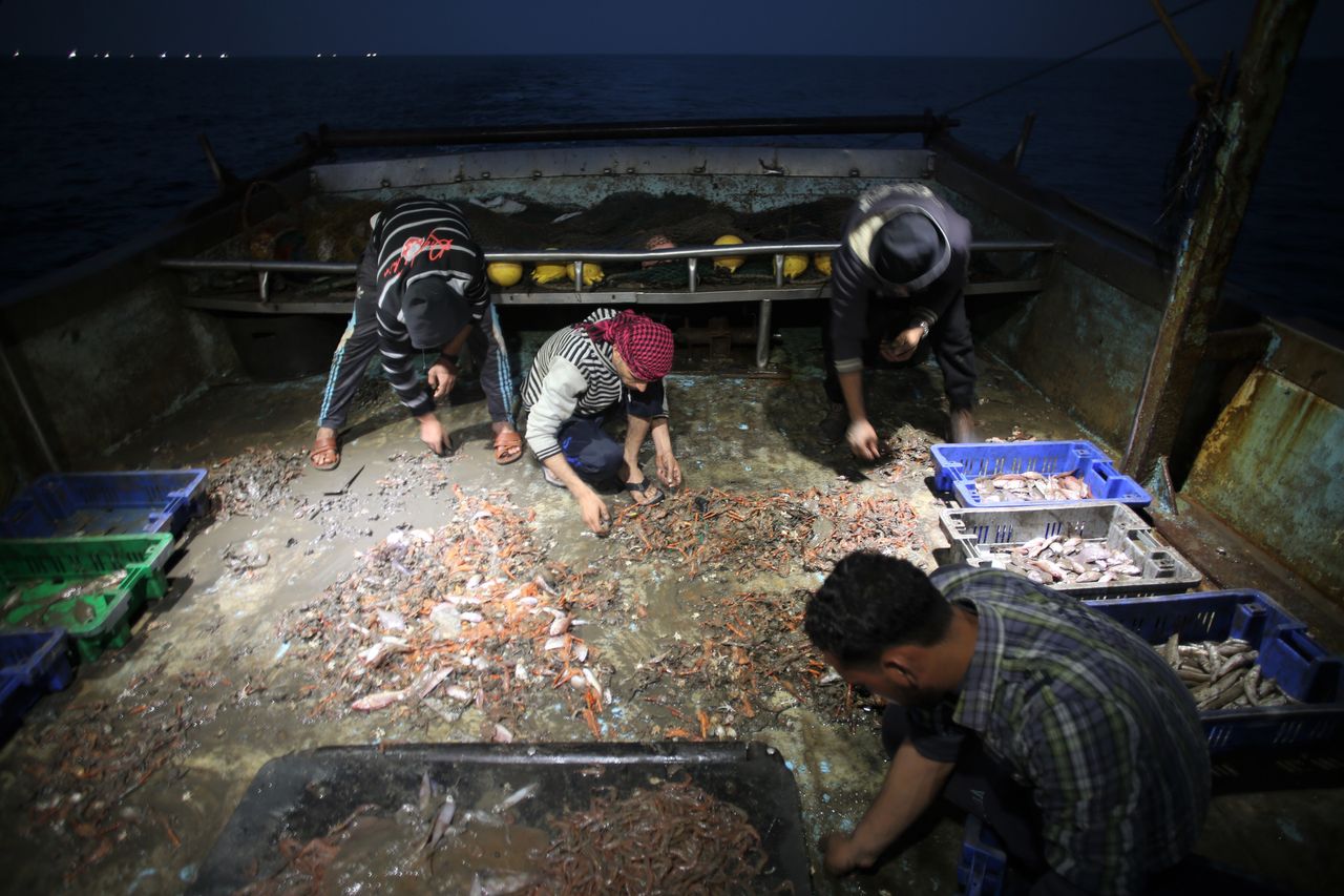 The fishermen collect and sort fish on the deck of their ship while at sea.