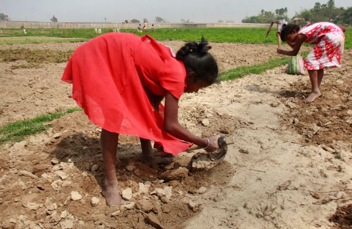 Two girls dig on a field beside Tata Motors' project in Singur, 50 km (32 miles) north from the eastern Indian city of Kolkata February 26, 2008. To match feature INDIA-TATA/FARMERS REUTERS/Jayanta Shaw (INDIA)