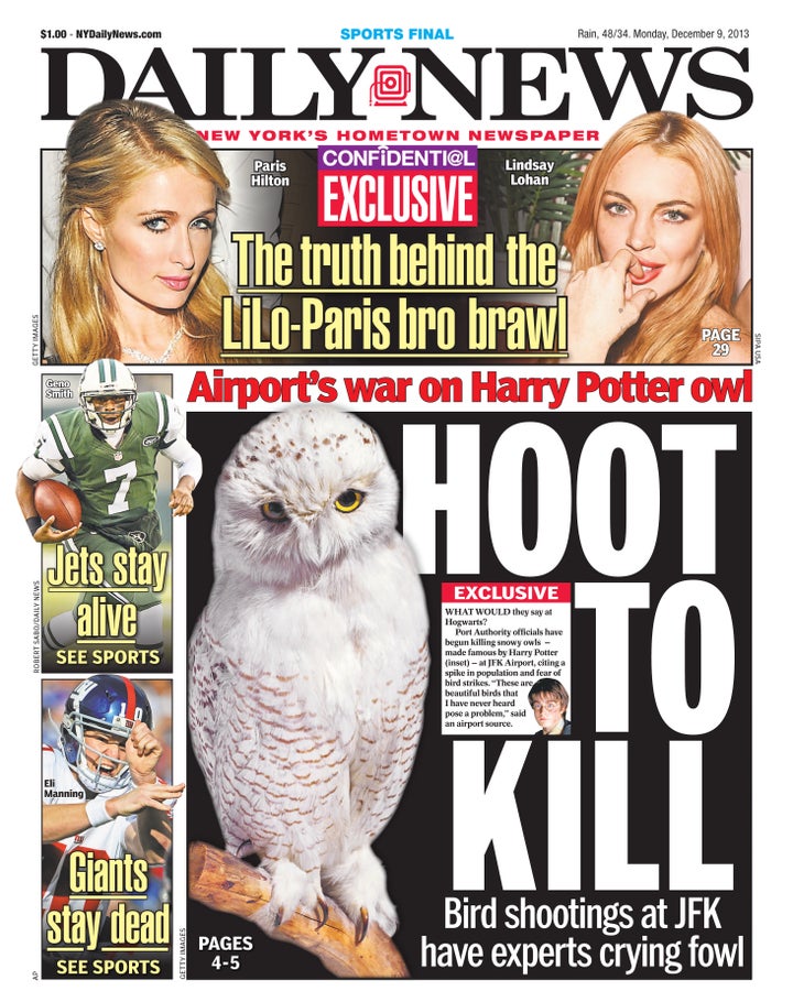 A 2013 New York Daily News cover addressing airport officials shooting snowy owls due to fear of bird strikes.