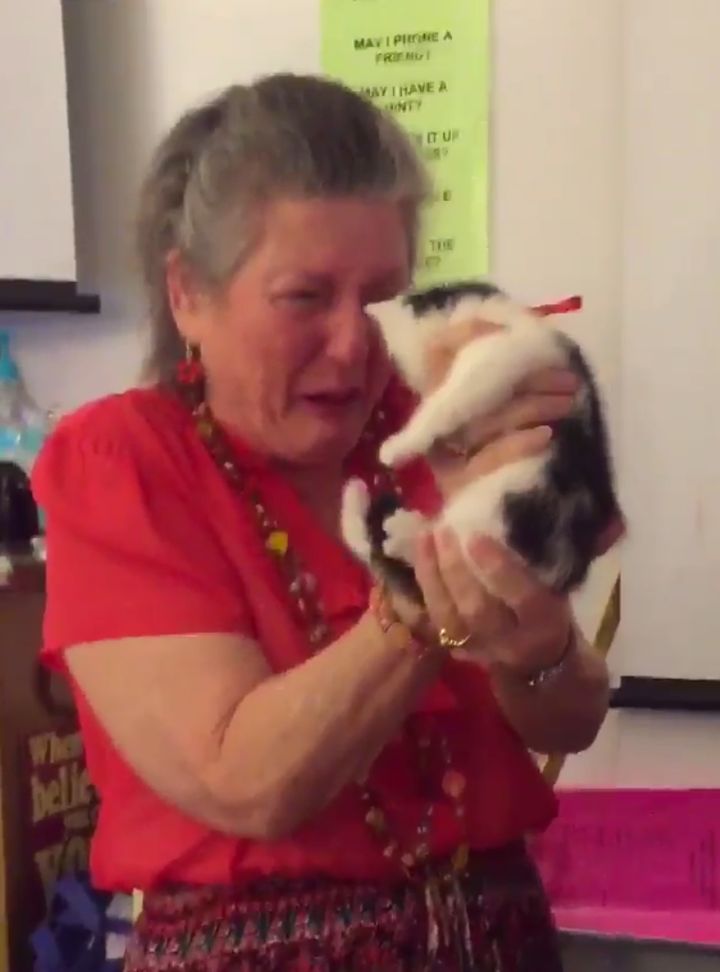 Mrs Andrews was almost in tears after being presented with the kittens 