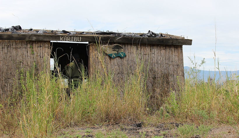 The Buffalo Hide