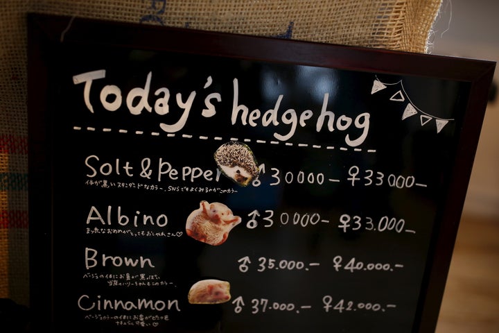 A "menu board" lets visitors know which kinds of hedgehogs are available for snuggling.