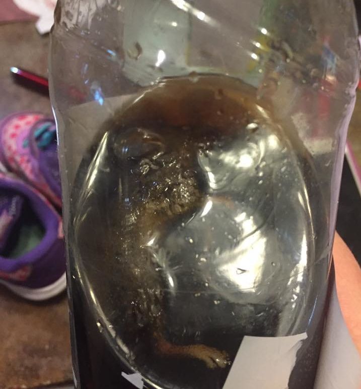On Monday, the toddler's concerned grandpa shared this photo that appears to show the rodent floating in the bottle.