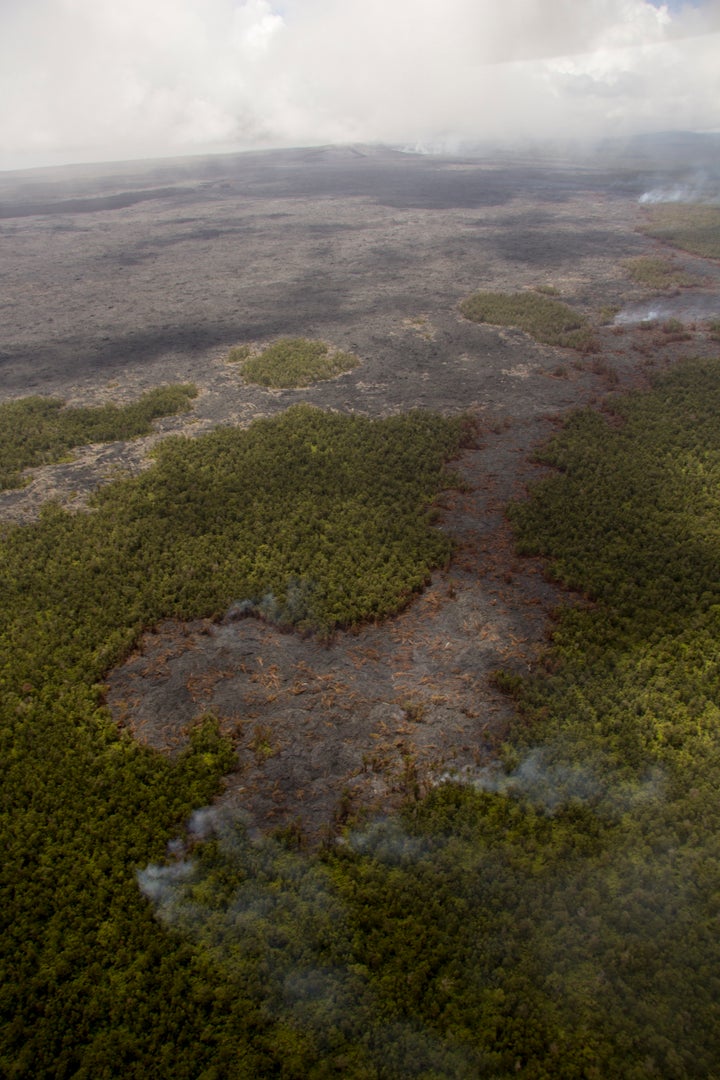 A small lobe of lava cuts through the forest in this USGS photo taken on March 25.