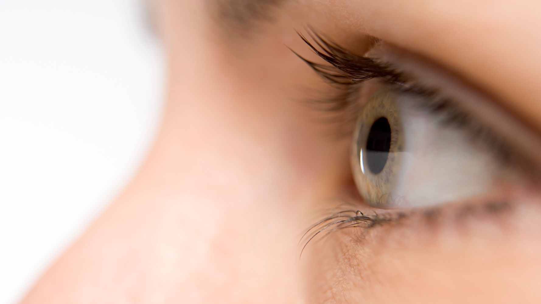 You Don't Even Want to Know About All the Stuff Living on Your Eyeball, Smart News