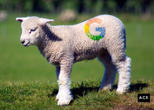Hey Google, I'm Not That Sheila Lamb! | HuffPost