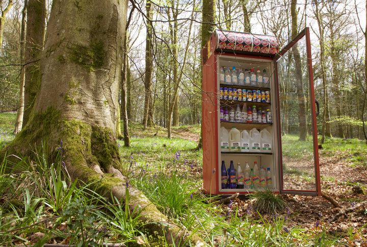 The fridge displaying the 'real fruits of the forest'