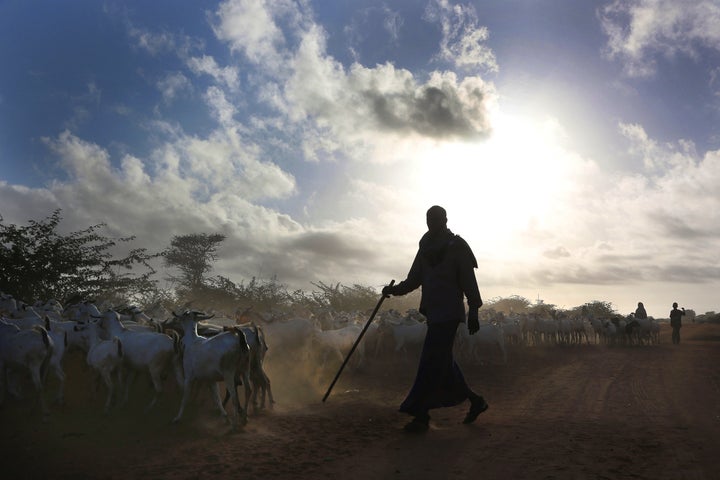 Kenya last Friday said it was closing Dadaab and ending all hosting of refugees in the country. The announcement sparked alarm and disbelief.