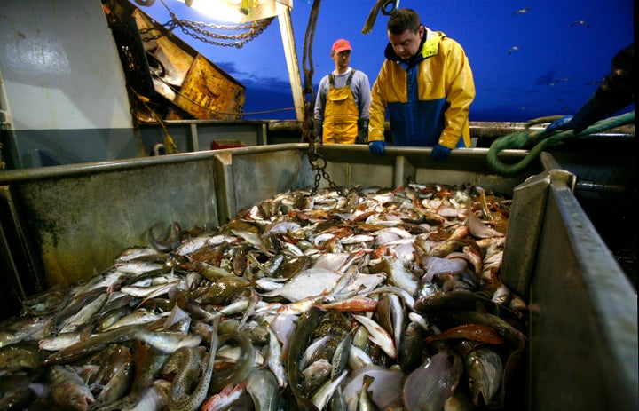 Greenpeace bills trawling as a damaging fishing practice that is depleting fish stores.