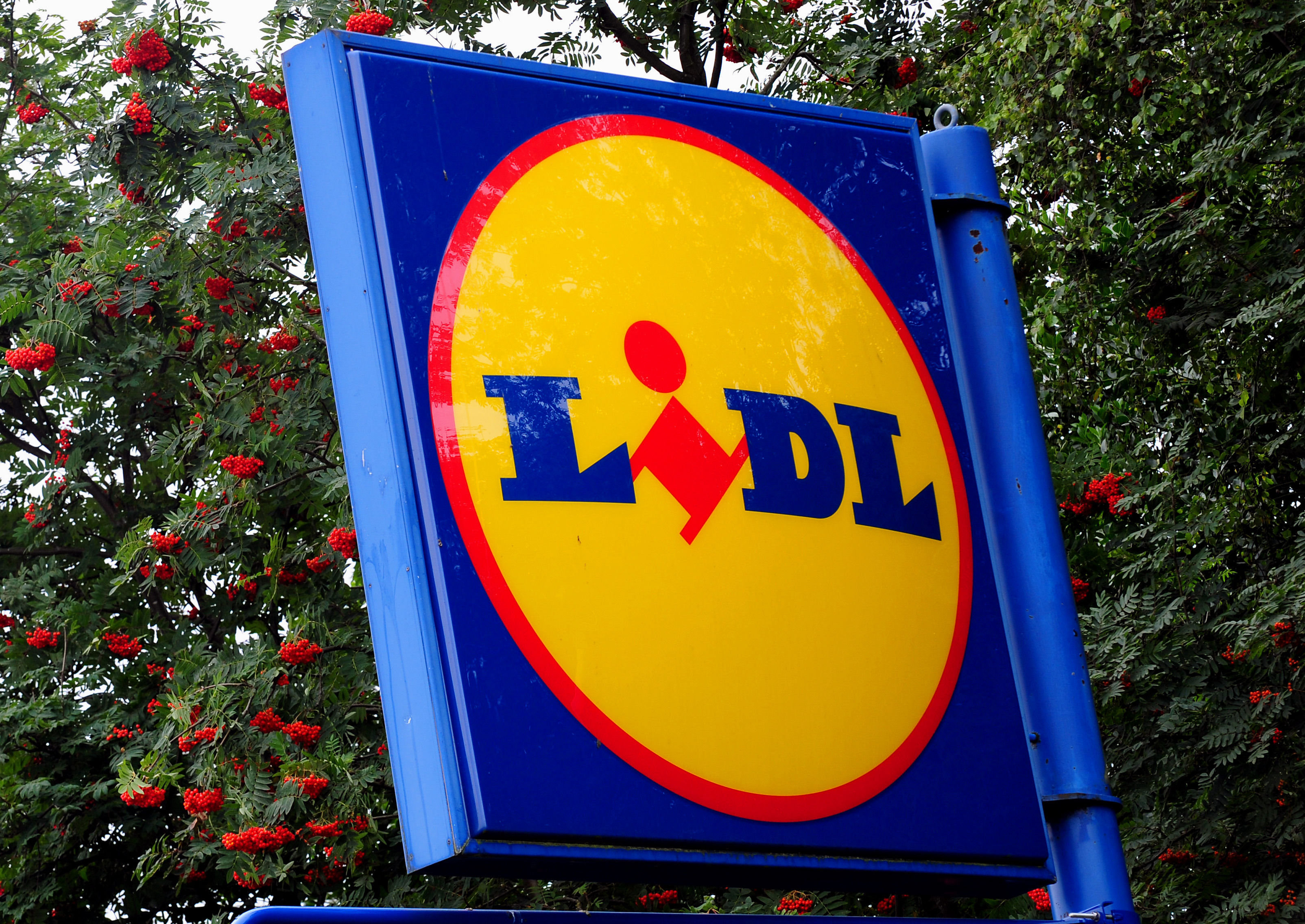 Lidl Recalls Food Items Over Potentially Deadly Allergens | HuffPost UK ...