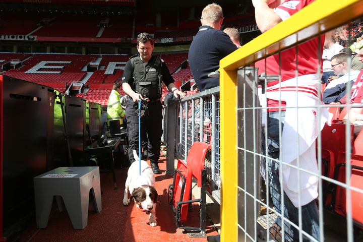 A sniffer dog at the ground after the evacuation