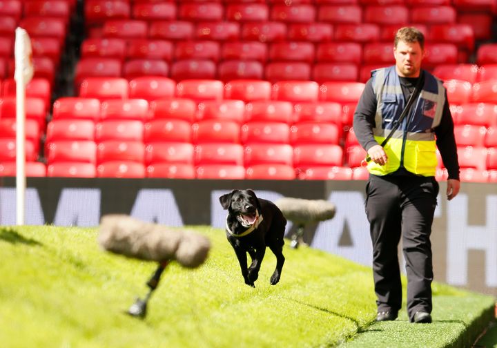 Police use sniffer dogs as fans are evacuated from the stadium as the match is abandoned.