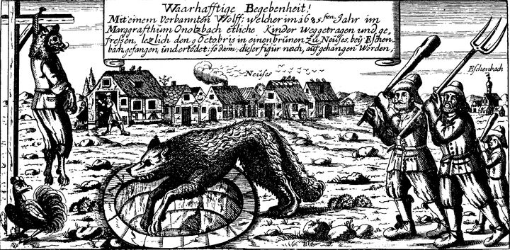 Wolf bounties were offered during the 18th century (file picture)