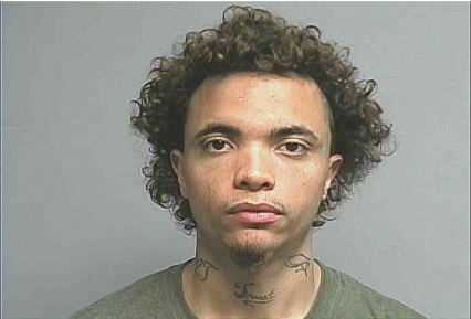 Michael Andrew Sutton, 23, was sentenced Monday to 180 days in jail for killing a 3-month-old puppy.