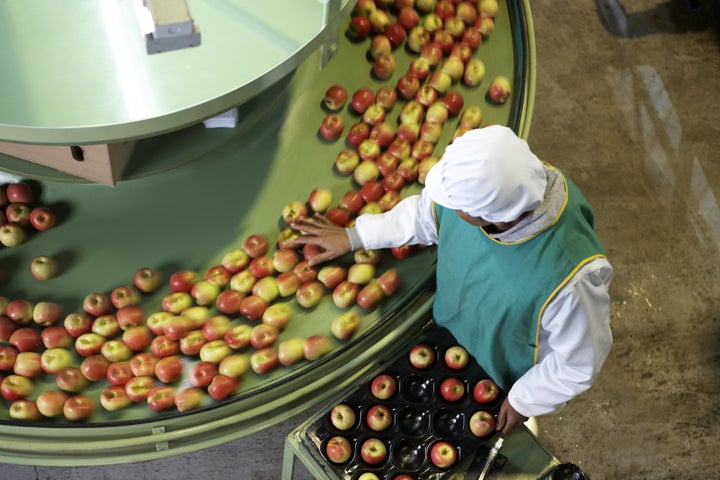 <strong>Over half the food waste produced by the retail and manufacture sectors is avoidable, a new report has found</strong>