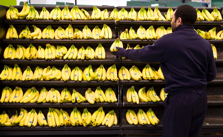 Bananas in bunches of various sizes in Tesco