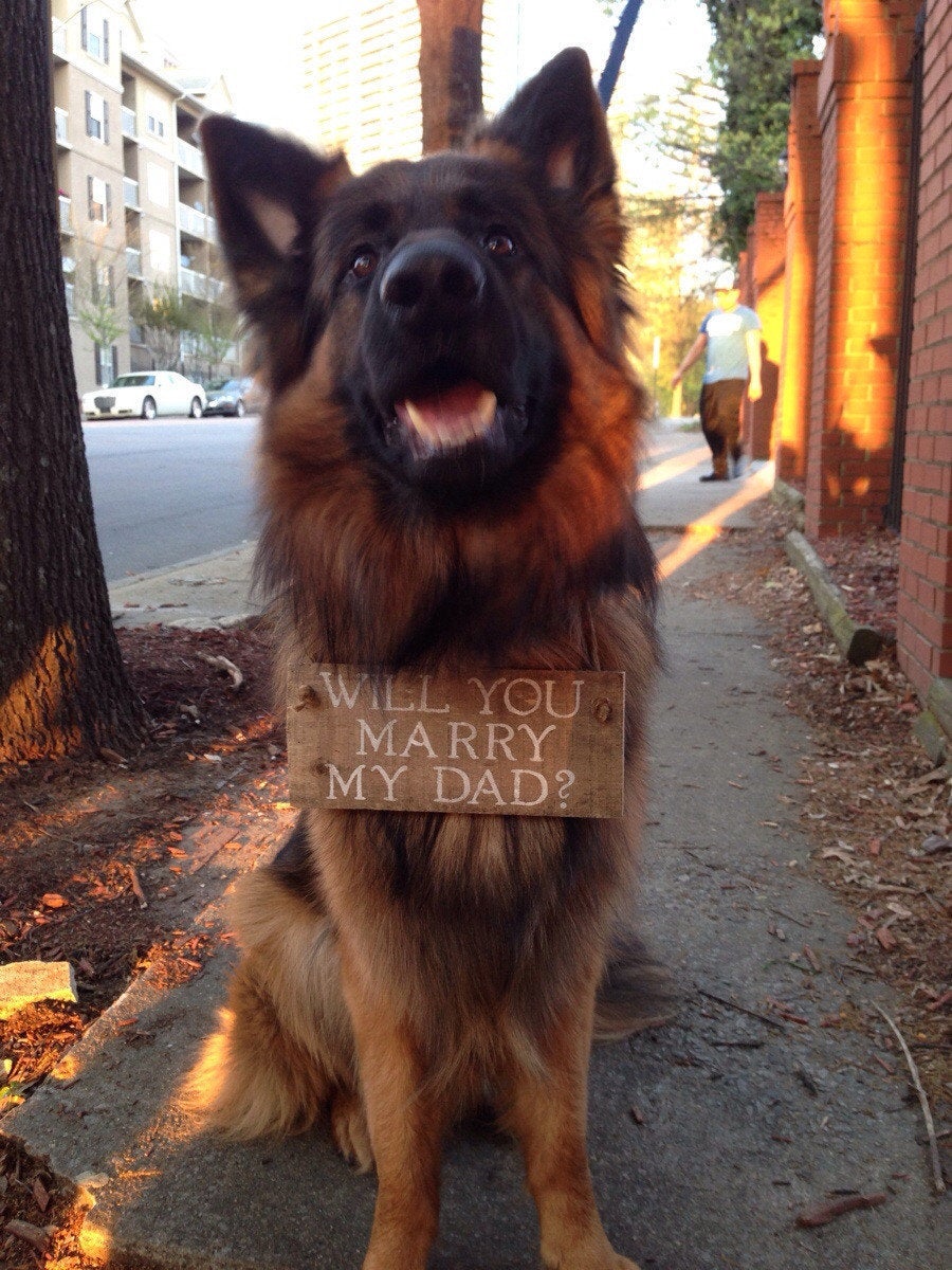 13 Photo Booth Marriage Proposals That Will Have You Cheesin Hard Huffpost Life