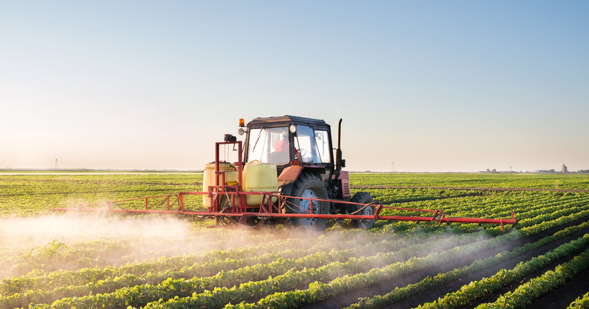 GMOs Ruled Safe To Eat But They Aren t Solving World Hunger HuffPost gmos-ruled-safe-to-eat-but-they-aren-t-solving-world-hunger-huffpost