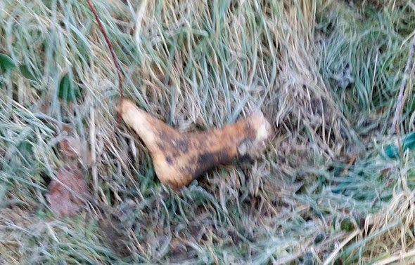 <strong>The foot discovered in February</strong>