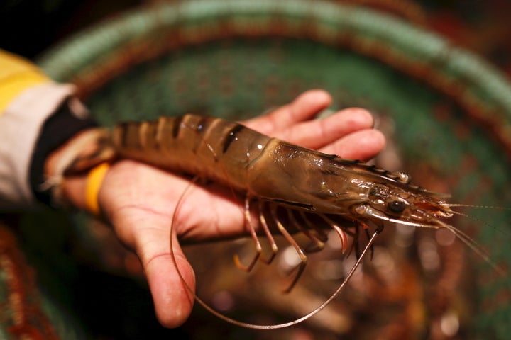 Shrimp farming has destroyed mangroves, a key ecosystem for carbon storage, added to emissions of planet-warming carbon dioxide and exposed shorelines and communities to storm surges and erosion. Now there's growing consumer demand for organic and sustainable foods for an eco-friendly alternative that encourages planting in areas long devoid of trees.