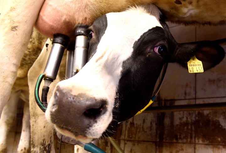 Thanks to fertilizer and animal waste, farms are the biggest contributors to fine particle air pollution in several coun