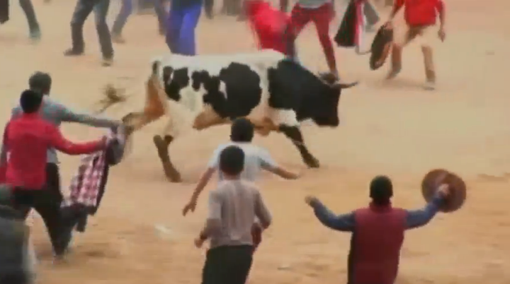 Eight people were injured during the first day of the Toro Chutay bullfighting festival in Peru.