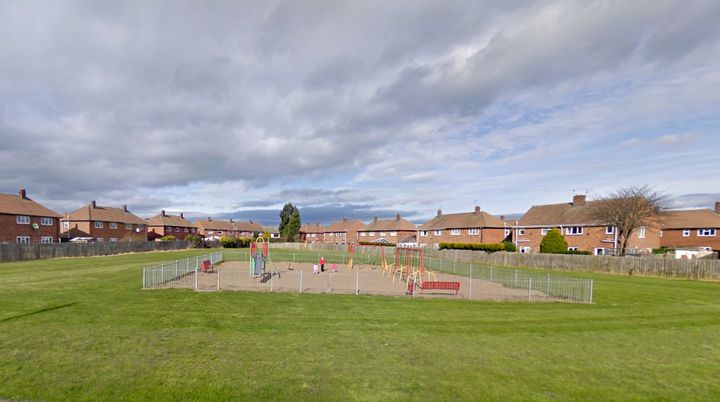 The children were attacked in a park on Burns Avenue in Blyth