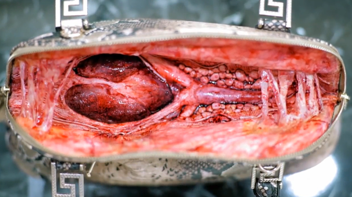 <strong>The crocodile-skin handbag showed a fake beating heart, stretchy sinew and pools of blood.</strong>