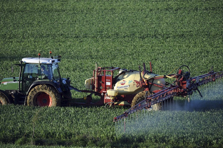 A farmer sprays a chemical fertilizer containing nitrogen on his wheat field in southern France.