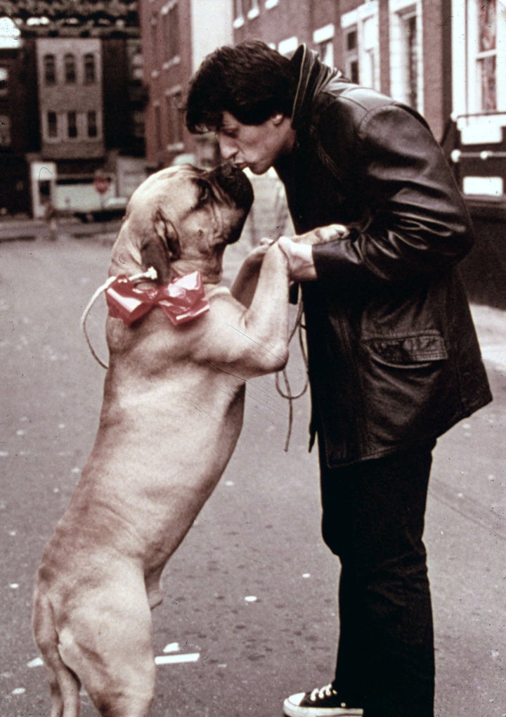 Rocky Balboa wore Chucks.