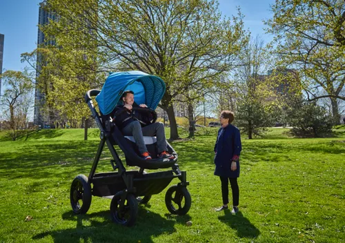 Giant stroller for adults for sale best sale