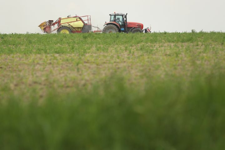 German rival Bayer AG has its eyes on Monsanto. 
