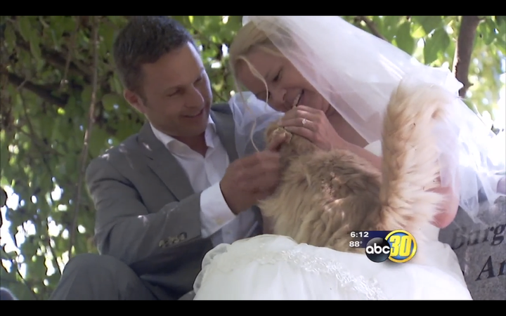 Louise Veronneau and Dominic Husson are seen enjoying the company of one of their four-legged wedding guests at the Cat House on the Kings in California.