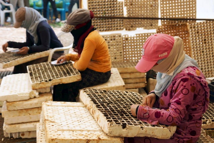 Women plant seeds in the rebel-held town of Dael, Syria. The Syrian uprising has upended a lot of social norms and customs.