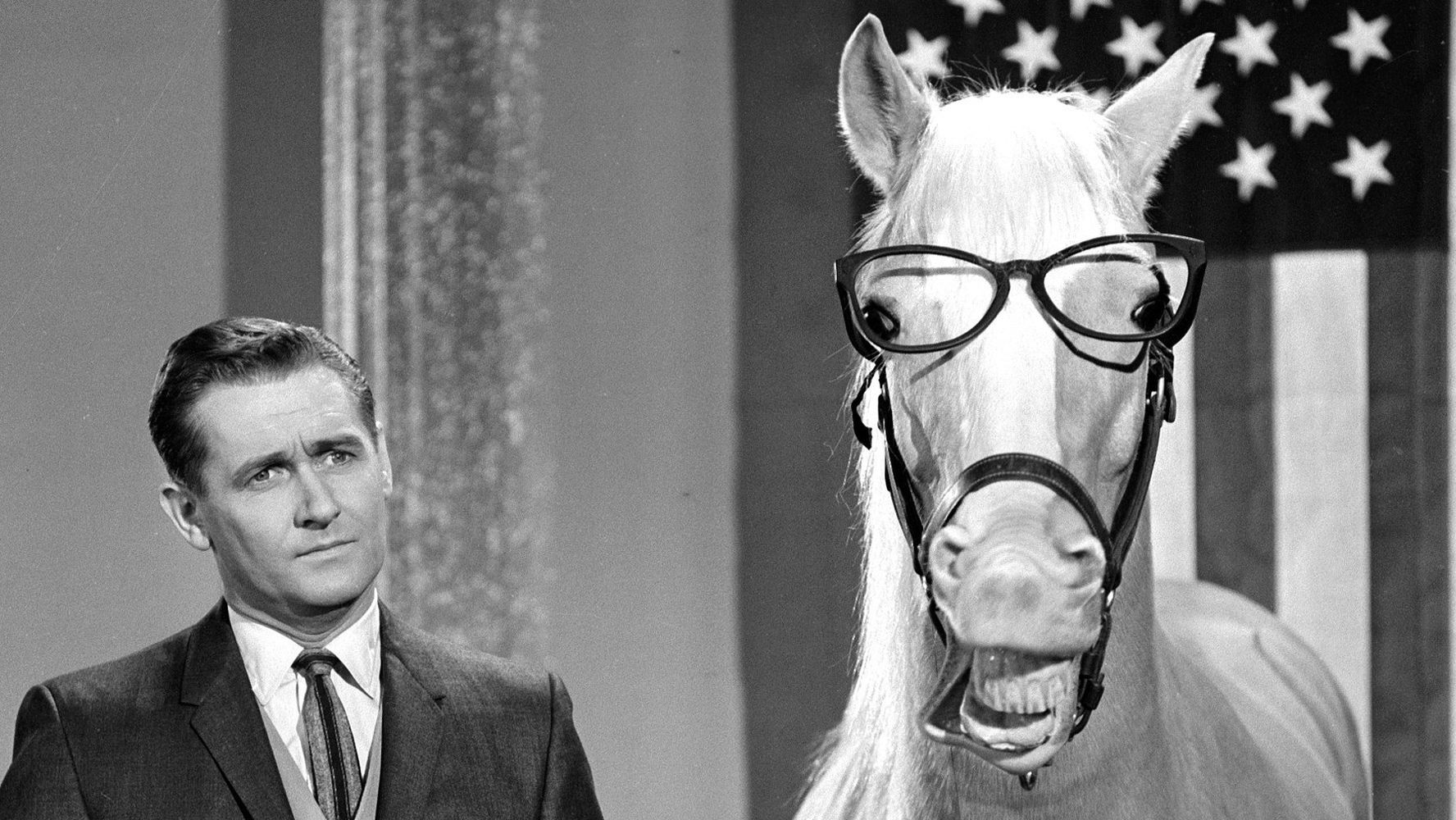 Mister Ed' Star Alan Young Dies At 96.