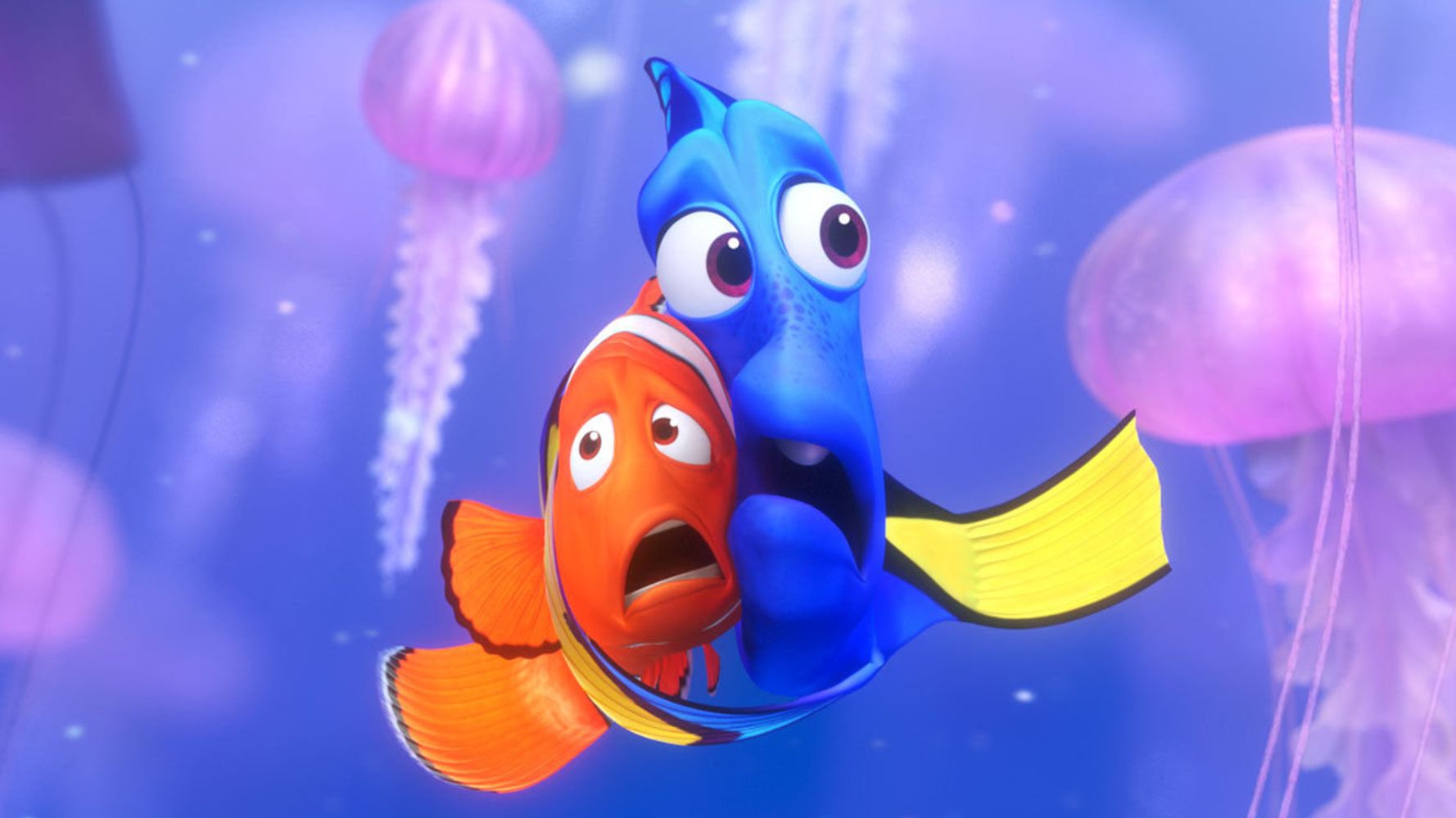 Finding Nemo' Hurt Clownfish. Will The Same Happen With Dory? | HuffPost  Impact