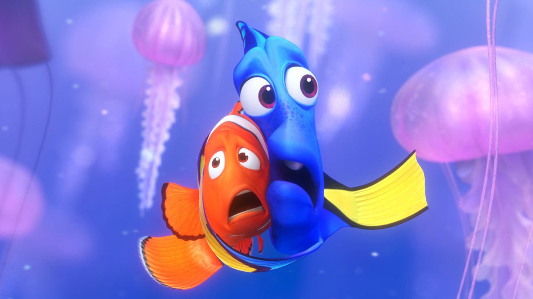 ‘Finding Nemo’ Hurt Clownfish. Will The Same Happen With Dory? HuffPost Impact ‘Finding Nemo’ Hurt Clownfish. Will The Same Happen With Dory? HuffPost Impact