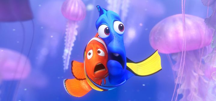 The "Finding Nemo" effect is real, but can researchers save Dory?