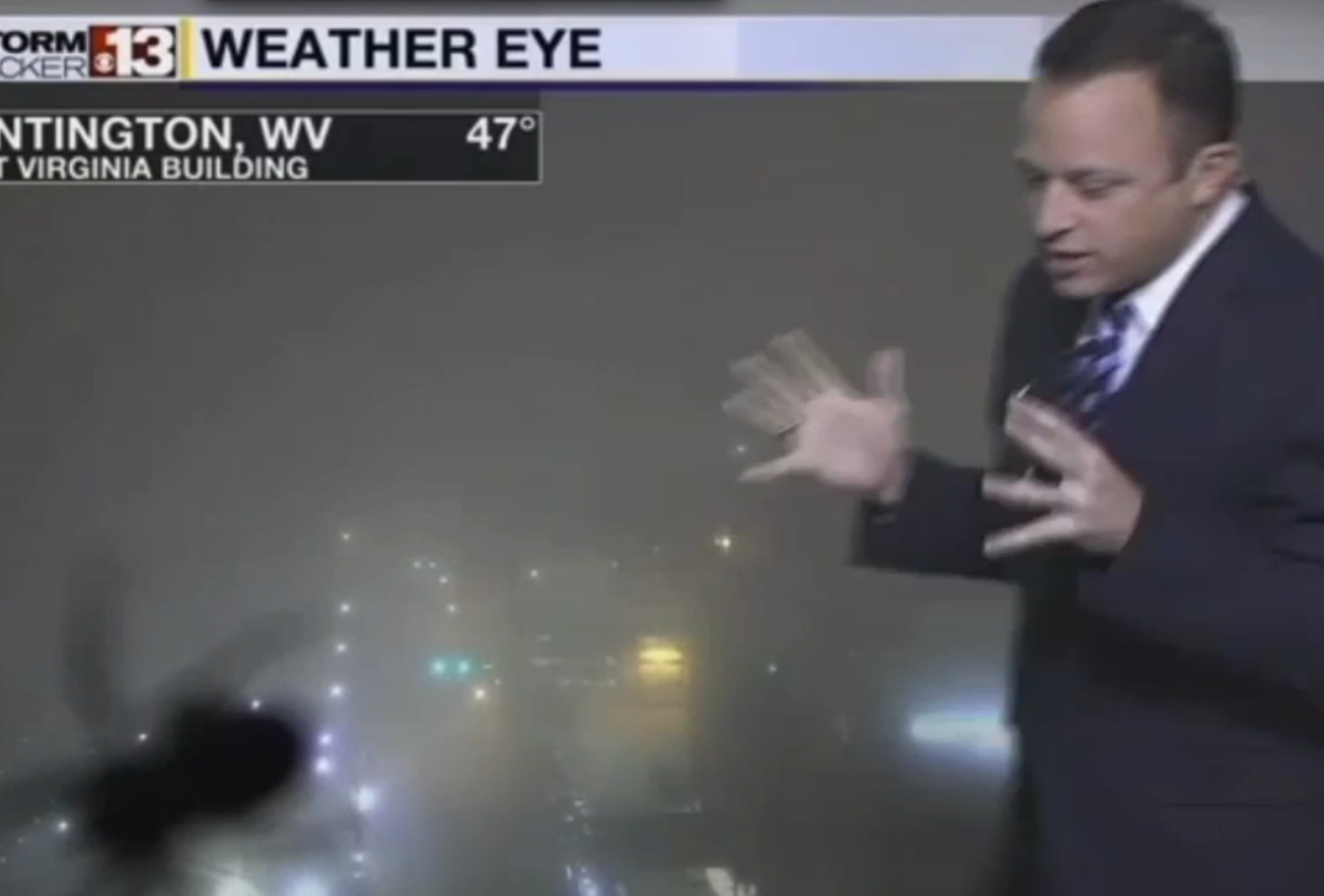 weatherman spider weatherman spider